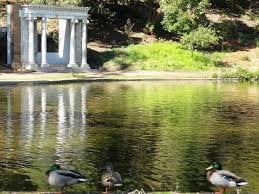 Golden Gate Park